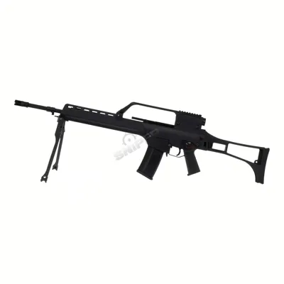 RG6 Special Unit DMR Rifle - Reapo