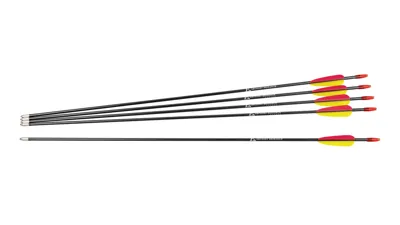 Fiberglaspfeile 30" 5 St - EK