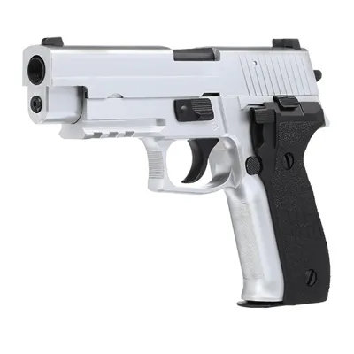 Raven R226 Railed Vollmetall BB Brushed Chrome - Nuprol