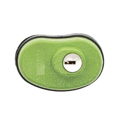 Trigger Lock with Key - lockdown
