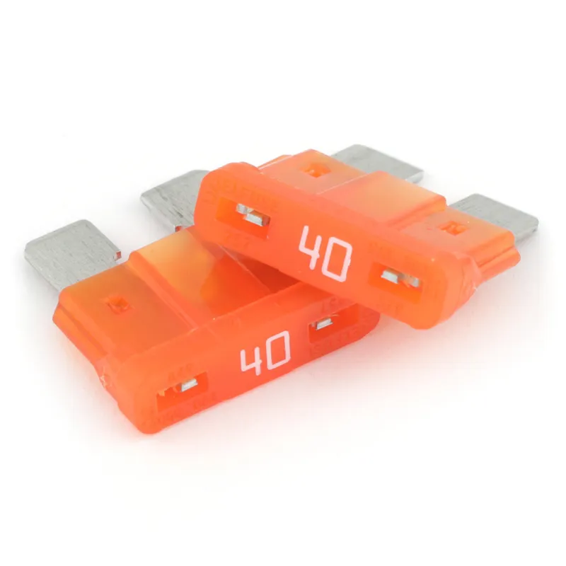 Gate Mini Fuse (2)