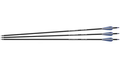 Carbonmix-Pfeile 30“ Spine 550 - Next Generation