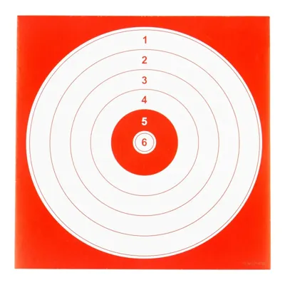 14x14cm Shooting Target, 100STK - Reapo