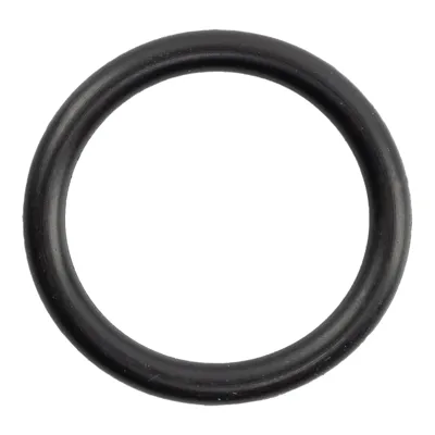 O-Ring Für Hi-Capa Magazin - Reapo