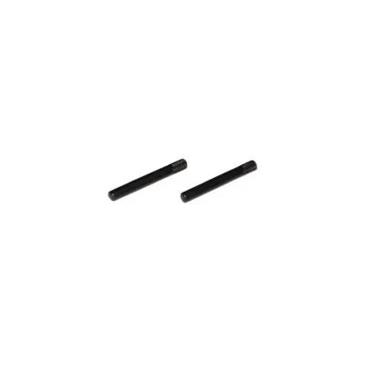 Gearbox Pin Set (2 Pieces) - SRC (Taiwan)