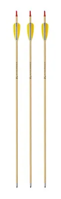 Holzpfeile 28" 5ST - EK