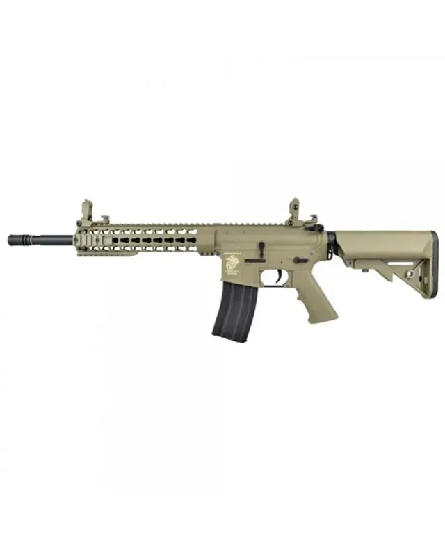 Dboys (3381) M4 10 " · Tan / FDE