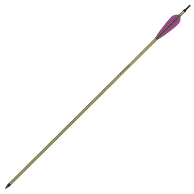 Hochleistungs-Alupfeil Bogen Komplettpfeil 28'' 1 Stück - Easton
