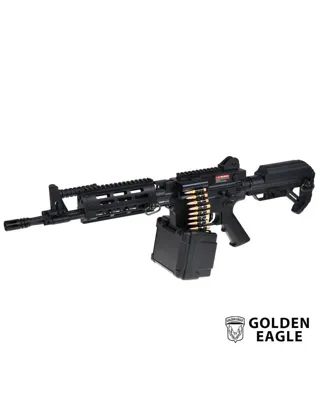 LMG 6671 - Golden Eagle