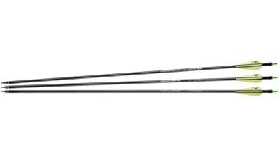 Fiberglaspfeile 30“ Spine 500 - Next Generation