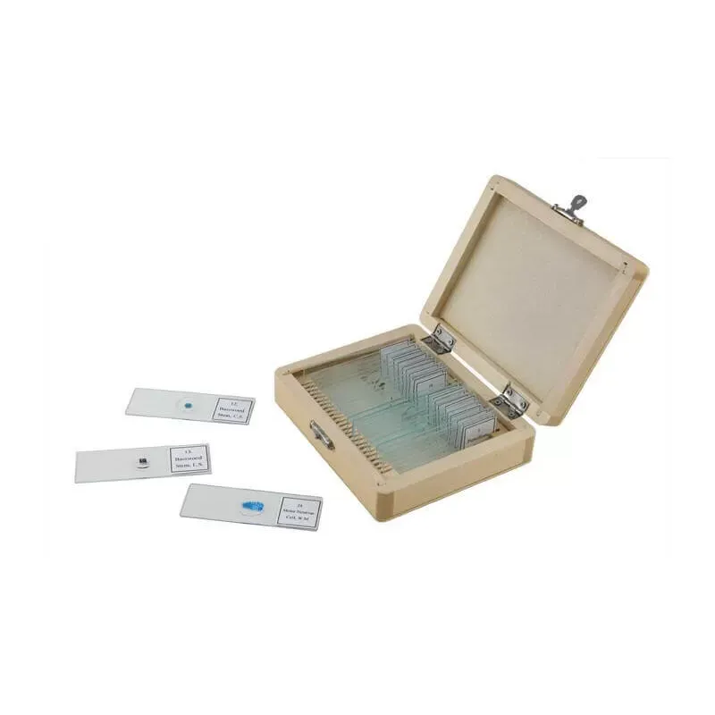 Celestron Caja de Madera con 25 Preparaciones Variadas