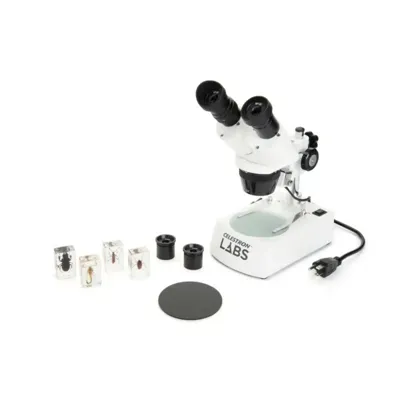 Microscopio LABS S10-60 - Celestron