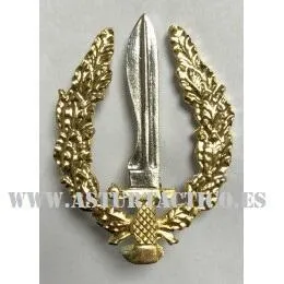 Emblema Boina Goe