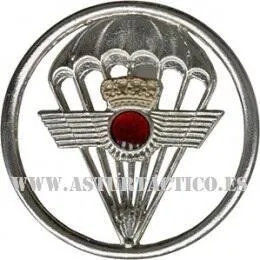 Emblema Boina Ezapac