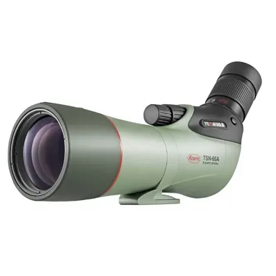 TSN-66A 25-60x66 XD Visión Acodada - Kowa