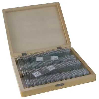 Muestras Preparadas 100 Uds. Caja - Bresser