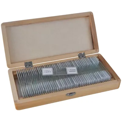 Muestras Preparadas 50 Pcs./Caja - Bresser
