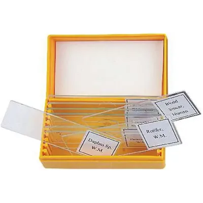 Kit de Muestras - BBI