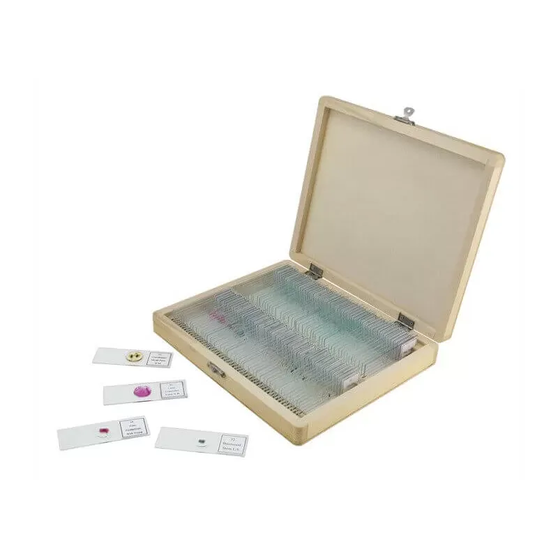 Celestron Caja de Madera con 100PREPARACIONES Variadas