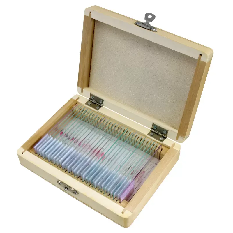 Bresser Muestras Preparadas: Histología