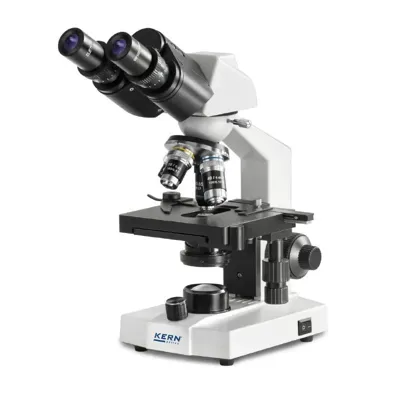 Microscopio Compuesto (Escuela) Binocular Consisting of - Kern Optics