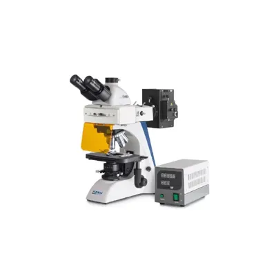 Microscopio de Fluorescencia Trinocular Inf Plan 4/10/20/40/100: WF10X20: 3W LED (IL) - Kern Optics