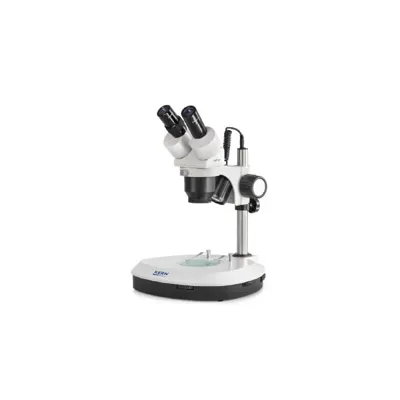 Microscopio Estereoscópico Binocular Greenough: 1/2x: HSWF10X23: 3W LED - Kern Optics