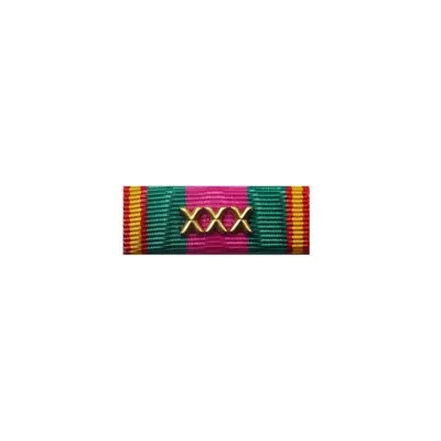 Pasador Dedicación Policial CNP XXX Años