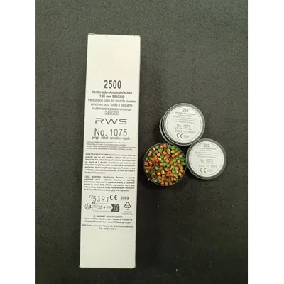 Pistones Avancarga nº1075 - RWS