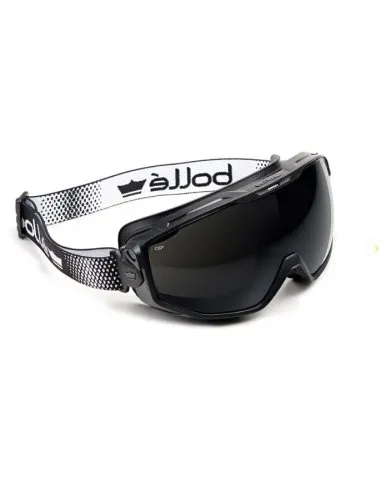 Universal Goggle
