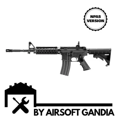 MWS Npas By Gandia