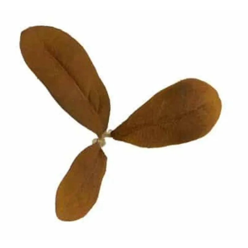 Leaf LC2 Turba · Otros camuflajes