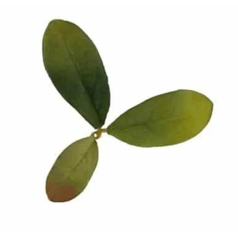 Leaf LC2 Emerald · Otros camuflajes