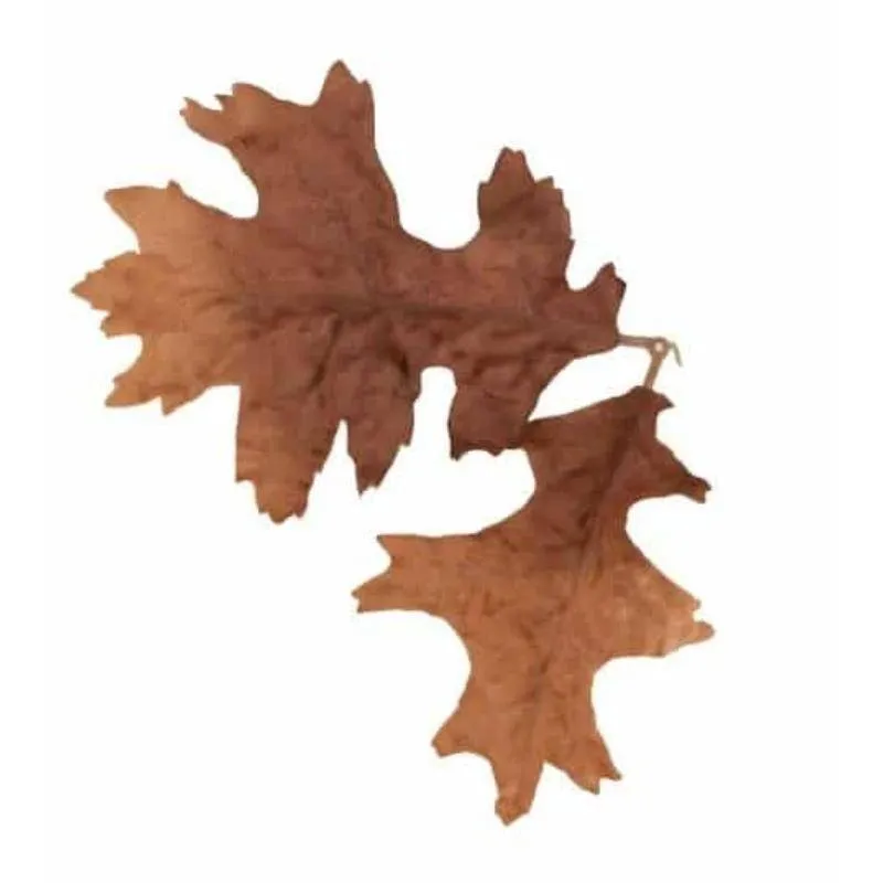 Leaf LC4 · Otros camuflajes
