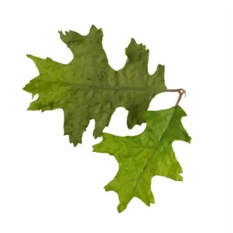 Leaf LC4 Roble · Otros camuflajes