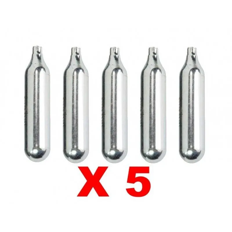 5 Botellas CO2 12 Gramos