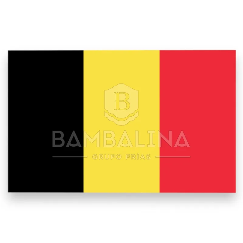 Bélgica 150×100