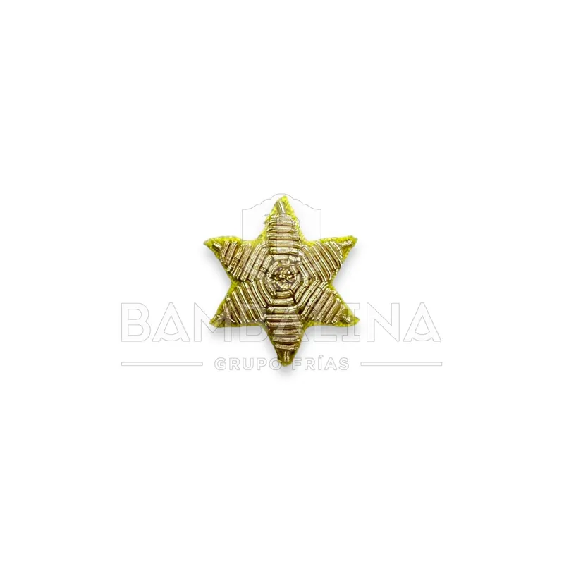 Estrella Bordada 6 Puntas