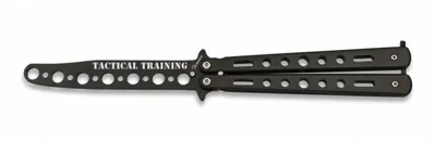 Abanico Entrenamiento Albainox 02157 - Varios