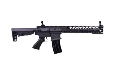 M4 E6598 - Golden Eagle
