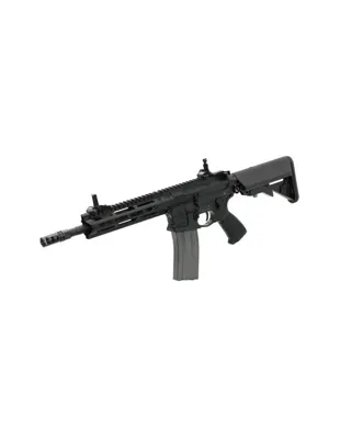 CM16 Raider 2.0 - G&G