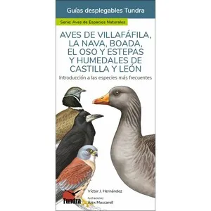 Aves de Villafàfila, la Nava, Boada, el Oso y Estepas y Humedales de Castilla y León. Introducción a las Especies Más Frecuentes. Guías Desplegables T - Tundra