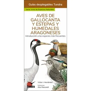 Aves de Gallocanta y Estepas y Humedales Aragoneses. Introducción a las Especies Más Frecuentes. Guías Desplegables - Tundra