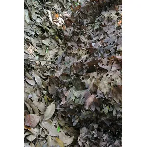 Lámina Recortada de 1,5x5 M Color Otoño - TRAGOPAN