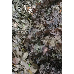 Lámina Recortada de 3x3 M Color Otoño - TRAGOPAN