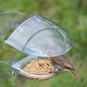 Ilr-Ttrc Cobertor para Comedero para Aves Silvestres para Ventana "Robins Treat Tray" - JACOBI JAYNE