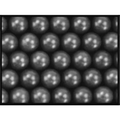 0.20g Bio BBs 2.000PCS Bag *Dk - ICS