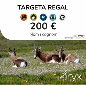 Tarjeta Regalo 200 / Targeta Regal / Gift Card - ORYX