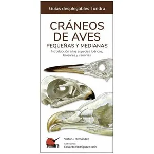 Cráneos de Aves Pequeñas y Medianas. Introducción a las Especies Ibéricas, Baleares y Canarias. Guías Desplegables - Tundra