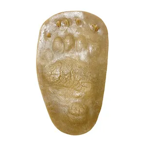 Molde Huella Mano Ursus Arctos (Oso Pardo, Ós Bru, Oso, Artz) - MUSKARI RASTROS